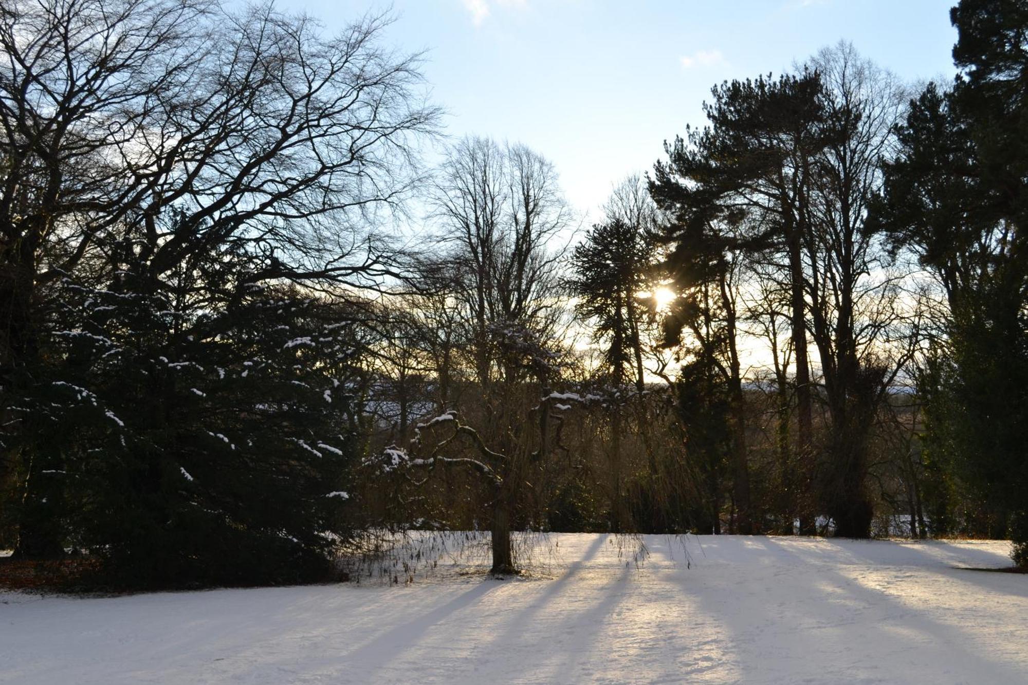 Burnhopeside Hall Bed & Breakfast 4*